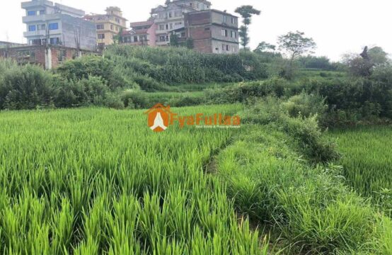 Land sale in bhaktapur chitapol