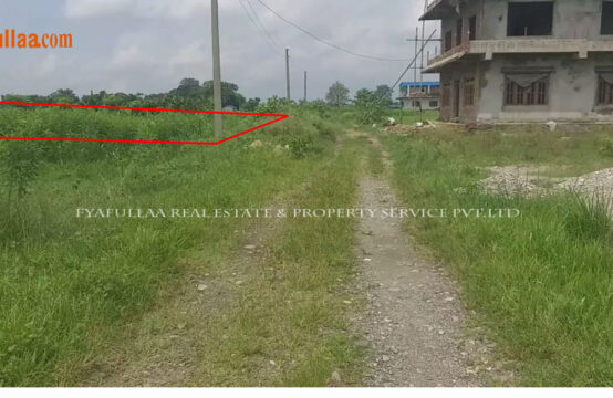 Land sale in Chitwan