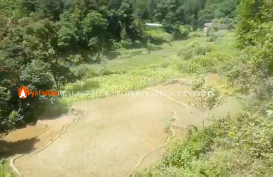 Land sale in Dakshinkali