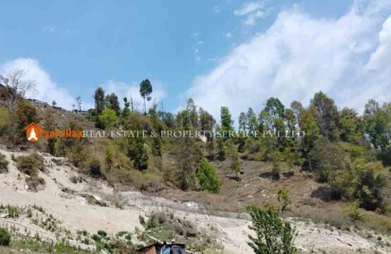 Cheap land in jitpur phedi